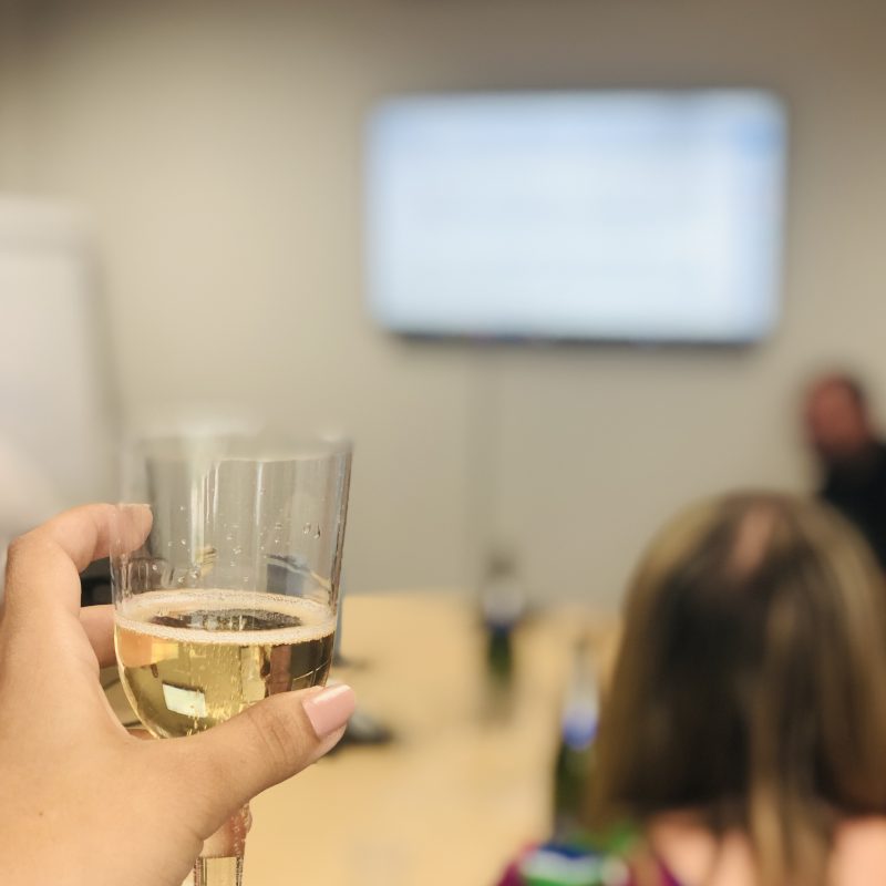 wind blade inspection, wind blade repair, wind blade maintenance