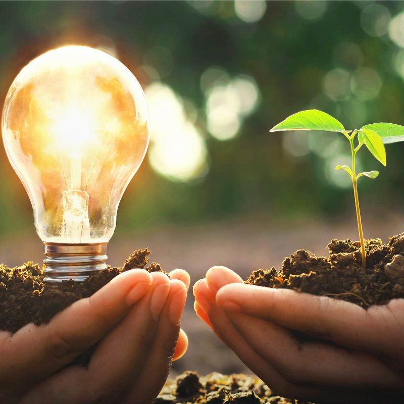 wind turbine maintenance, wind blade technician, wind turbine blade maintenance